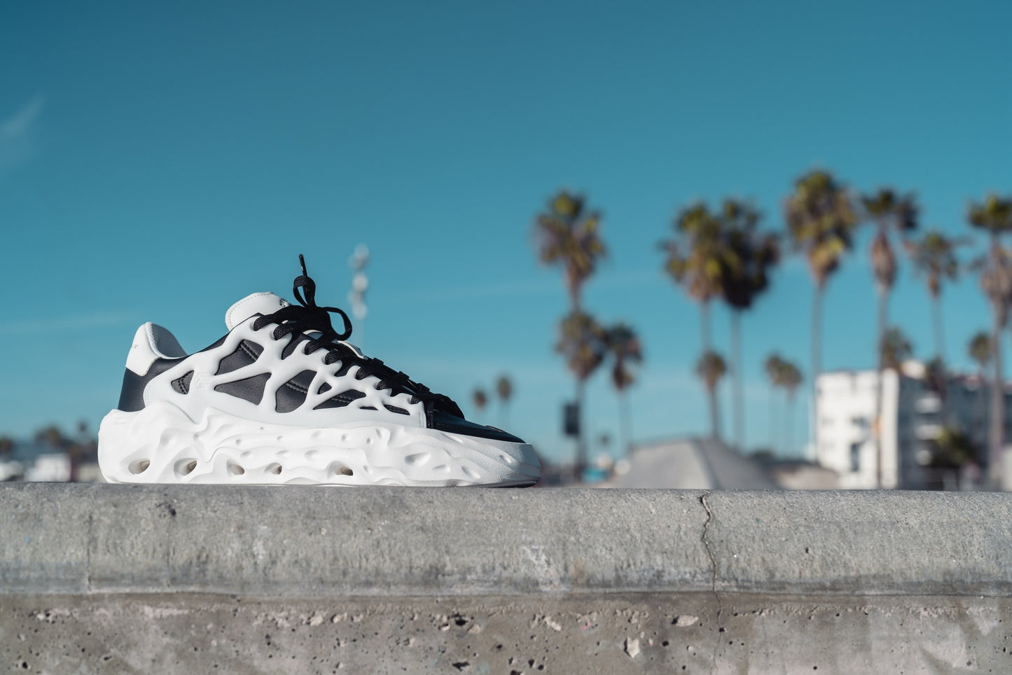 RADICLE ORCA BLACK
